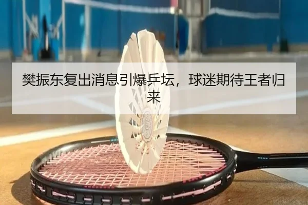 樊振东复出消息引爆乒坛，球迷期待王者归来
