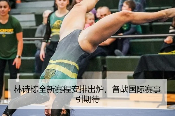 林诗栋全新赛程安排出炉，备战国际赛事引期待