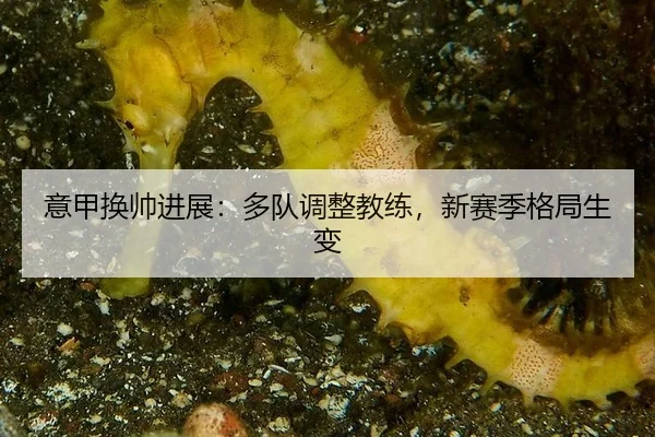 意甲换帅进展：多队调整教练，新赛季格局生变
